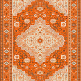 Ultra Soft Area Rug, Non Slip, Stain Resistant, Washable Area Rugs for Living Room, Bedroom, Boho Low Pile(Orange)