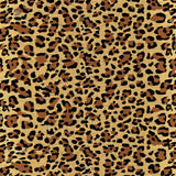 Leopard Print(Beige)