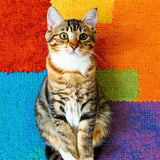 Ultra Soft Area Rug, Non Slip, Stain Resistant, Washable Area Rugs for Living Room, Bedroom, Cat Themed Welcome Doormat(Blue)