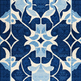 Ultra Soft Area Rug, Non Slip, Stain Resistant, Washable Area Rugs for Living Room, Bedroom, Waterproof Plastic Straw(Blue)