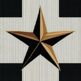 Ultra Soft Area Rug, Non Slip, Stain Resistant, Washable Area Rugs for Living Room, Bedroom, Texas Star Americana Door Mat(Black)