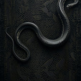 Ultra Soft Area Rug, Non Slip, Stain Resistant, Washable Area Rugs for Living Room, Bedroom, Gothic Snake Print(Black)