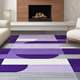 Ultra Soft Area Rug, Non Slip, Stain Resistant, Washable Area Rugs for Living Room, Bedroom, Luxurious Textured Linear Elements(Purple)