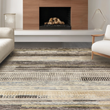Ultra Soft Area Rug, Non Slip, Stain Resistant, Washable Area Rugs for Living Room, Bedroom, Sleek Neutral Hued Stripe Arrangement(Gray)