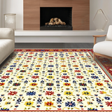 Ultra Soft Area Rug, Non Slip, Stain Resistant, Washable Area Rugs for Living Room, Bedroom, Eclectic Bright Abstract Design(Red)
