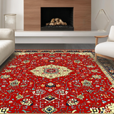 Ultra Soft Area Rug, Non Slip, Stain Resistant, Washable Area Rugs for Living Room, Bedroom, Chic Modern Abstract Design(Red)
