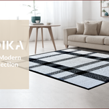 Ultra Soft Area Rug, Non Slip, Stain Resistant, Washable Area Rugs for Living Room, Bedroom, Minimalist Low Pile Stain Resistant Dorm Carpet(Black)