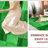 Ultra Soft Area Rug, Non Slip, Stain Resistant, Washable Area Rugs for Living Room, Bedroom, Cozy Green Shag Rug for Teen Bedroom(Green)