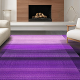 Ultra Soft Area Rug, Non Slip, Stain Resistant, Washable Area Rugs for Living Room, Bedroom, Minimalist Abstract Lines Arrangement(Purple)