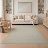 Minimalist Beige Grid Woven Area Rug