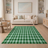 Green White Gingham Checkered Farmhouse Area Rug