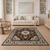 Ornate Brown Cream Persian Area Rug