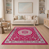Traditional Persian Vibrant Pink Persian Mandala Area Rug