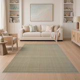 Beige Woven Coastal Area Rug