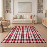 Classic Red Gingham Checkered Area Rug
