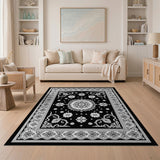 Black and White Black White Intricate Persian Floral Rug
