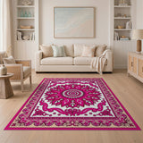 Vibrant Pink Persian Floral Medallion Traditional Persian Rug