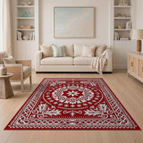 Red Traditional Persian Area Rug with White Intricate Motifs