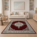 Red Ornate Maroon Medallion Persian Area Rug