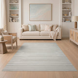Modern Grey Stripe Area Rug