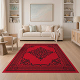 Red Traditional Persian Medallion Traditional Persian Area Rug