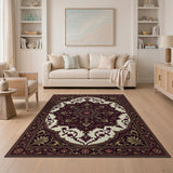 Traditional Persian Red Medallion Area Rug