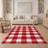 Red Checkered Gingham Area Rug
