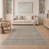 Geometric Modern Beige Plaid Woven Area Rug