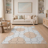 Peach Hexagon Grid Modern Area Rug
