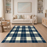 Blue and Teal Navy Blue Checkered Washable Area Rug