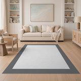 Minimalist Gray Border Area Rug
