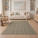 Tan Brown Grid Woven Area Rug
