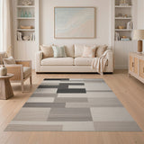 Modern Geometric Striped Area Rug in Black White