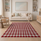 Red and White Gingham Check Area Rug