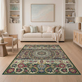 Ornate Multi-Color Persian Floral Area Rug