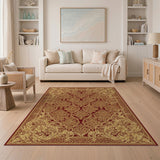 Traditional Persian Red Gold Ornate Persian Area Rug