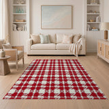 Rustic Farmhouse Red White Gingham Checkered Area Rug