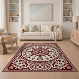 Red Traditional Persian Medallion Area Rug
