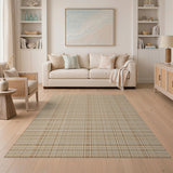 Tan Basketweave Woven Area Rug