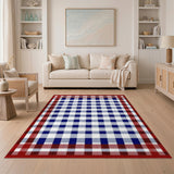 Red Border Blue Checkered Washable Area Rug