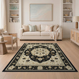 Elegant Black Ivory Traditional Persian Area Rug