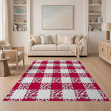 Bold Red Zigzag Check Area Rug