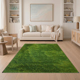 Lush Moss Green Shag Area Rug