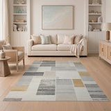 Distressed Neutral Geometric Area Rug