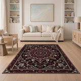 Luxurious Red Traditional Persian Area Rug