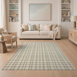 Beige Checkered Rustic Farmhouse Area Rug
