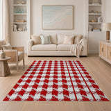 Distressed Red White Gingham Checkered Area Rug