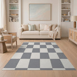 Textured Grey Checkered Area Rug