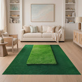 Lush Two-Tone Green Shag Area Rug
