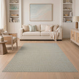 Beige Basket Weave Area Rug